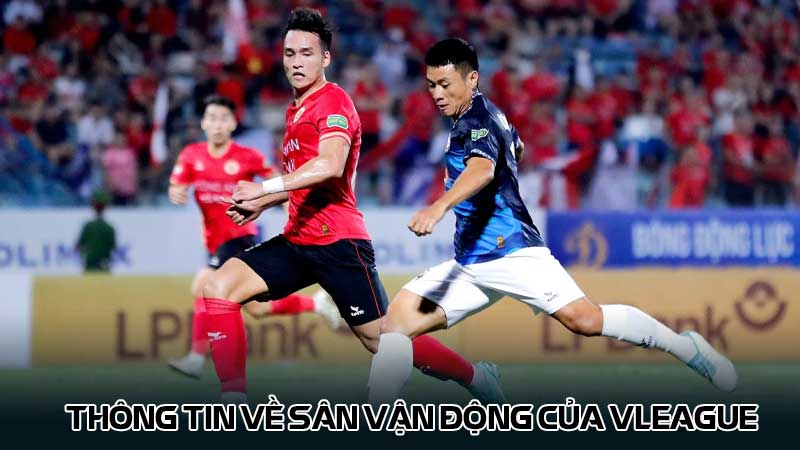 Thông tin về sân vận động của Vleague