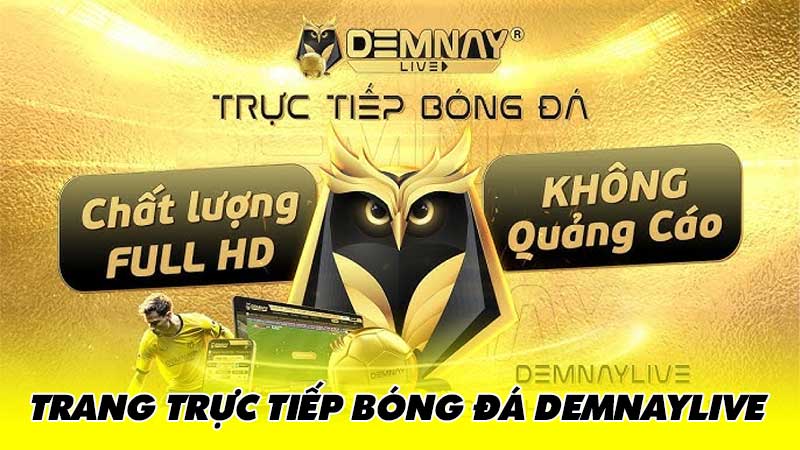 Trực tiếp bóng đá 247